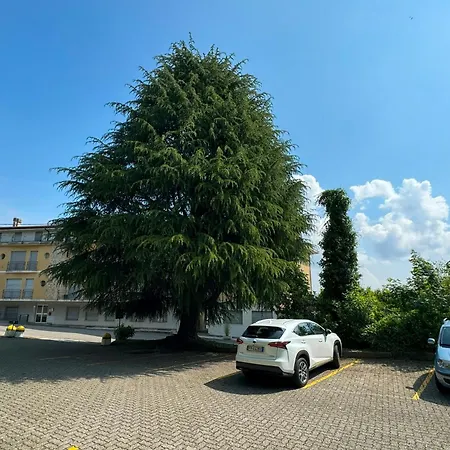 Alberti Con Vista *